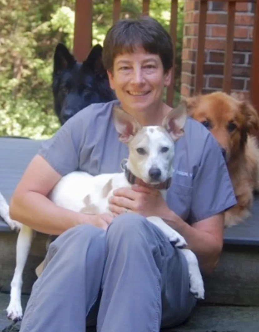 Dr. Leanne Ksiazek of Northampton Veterinary Clinic sitting down on stairs holding a dog, with four dogs sitting behind her